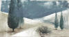 AM 2000402A