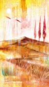 AM 2000406