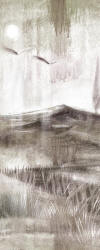 AM 2000407A