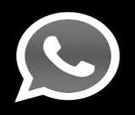 WhatsApp Icon